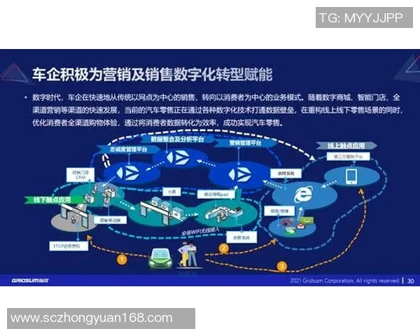 上海篮球队运营策略分析与市场影响深度解读